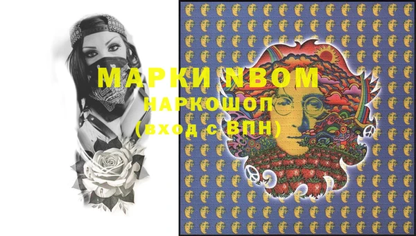 мет Алексин