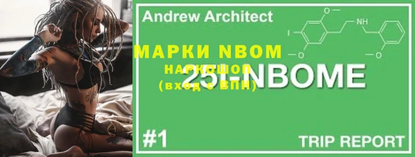 мет Алексин
