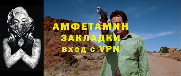 мет Алексин
