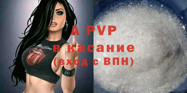 мет Алексин