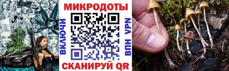 Галлюциногенные грибы мицелий  наркота  Льгов 